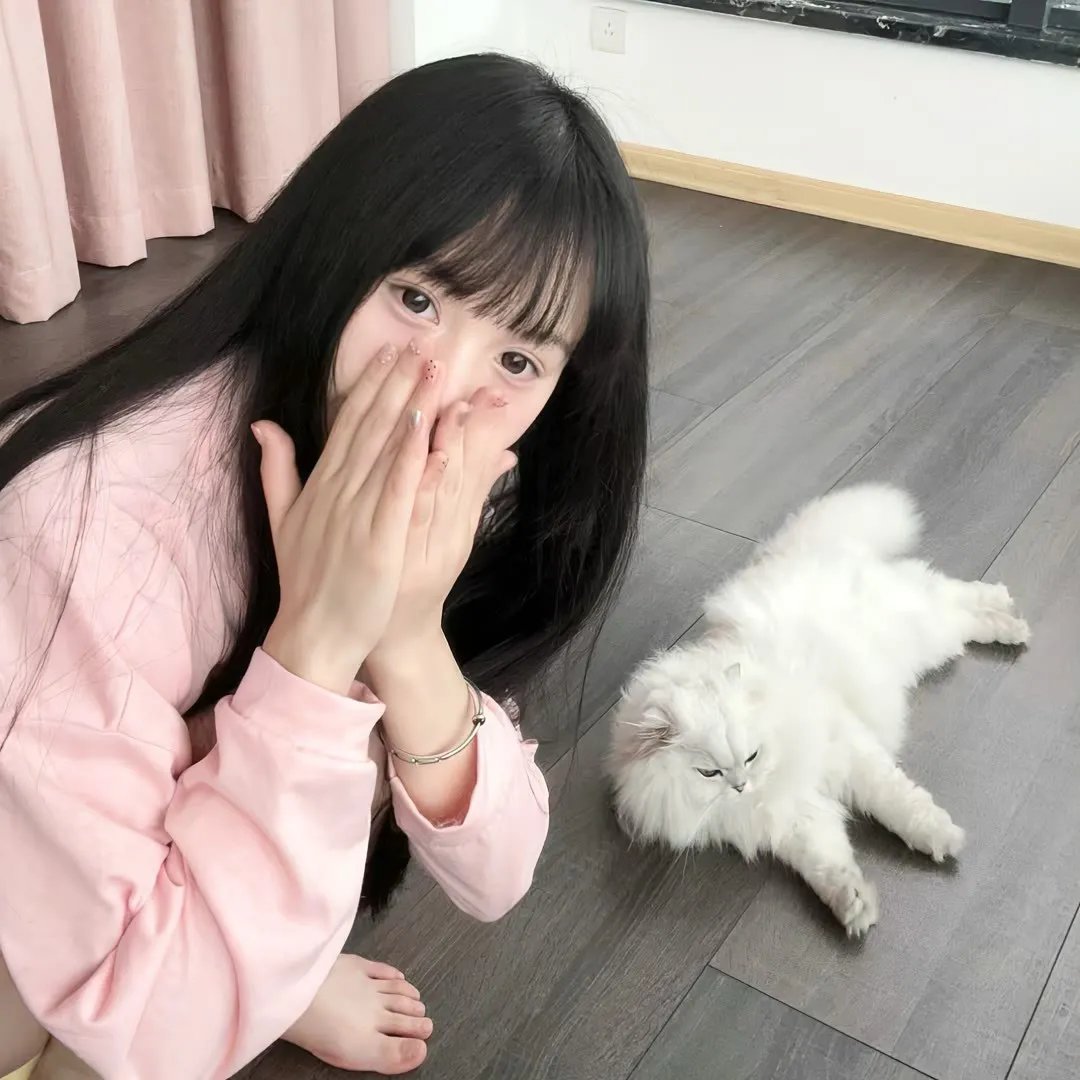 小姐不在家